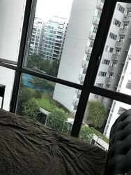 Eight Courtyards (D27), Condominium #492762961